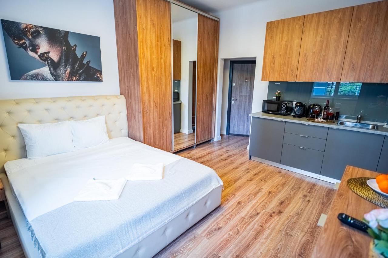 Cozy Apartments Near Calea Victoriei 布加勒斯特 外观 照片